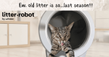 Litter-Robot 4: What To Know Before You Buy